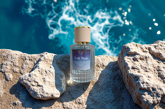 Volt Noir